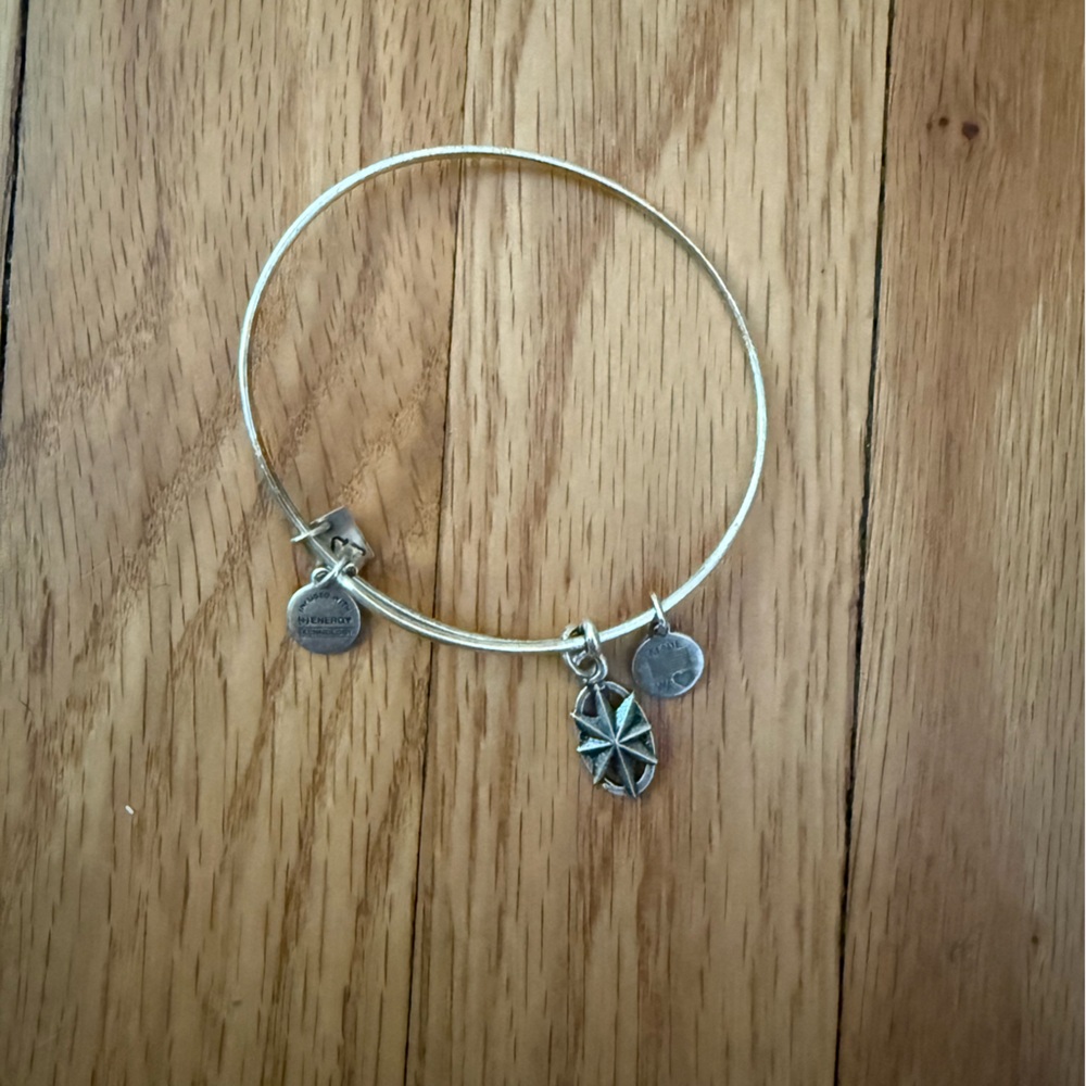 Silver Charm Bangle Alex and ani